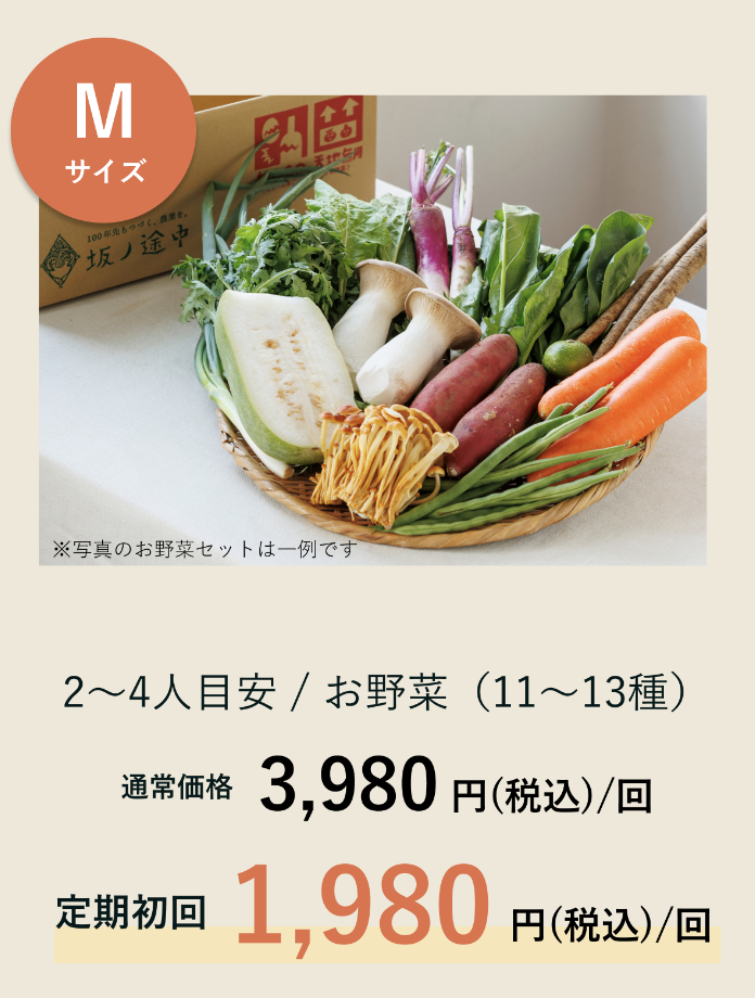 Mサイズ