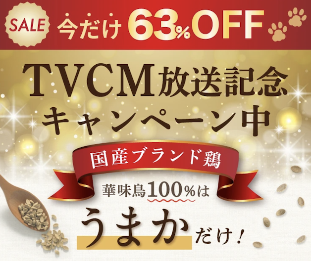 今だけキャンペーン