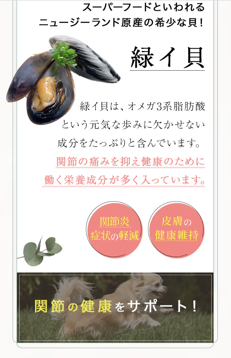 素材4