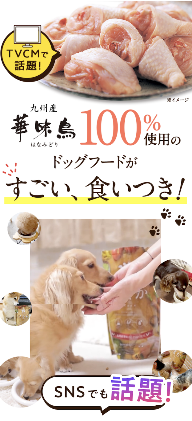 すごい食いつき