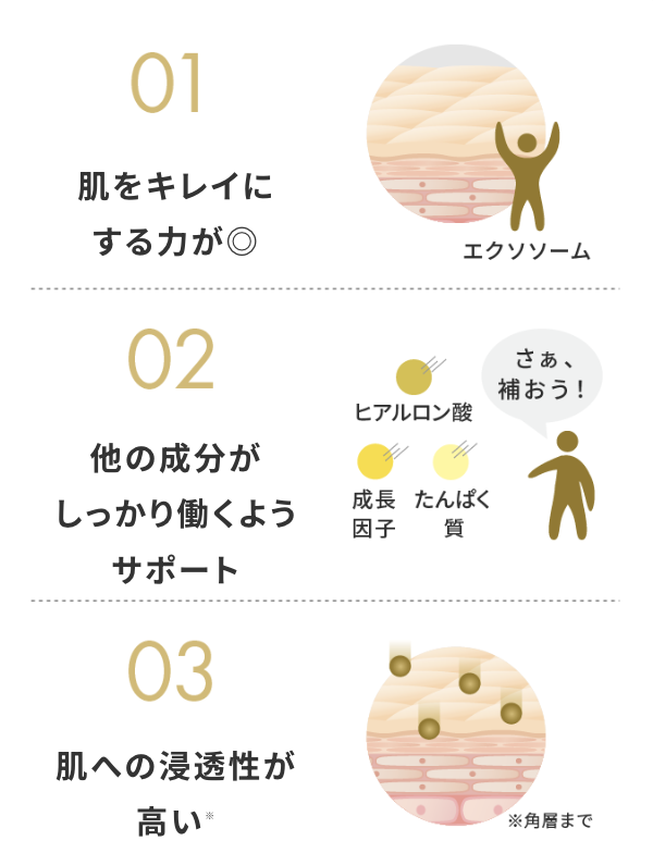 肌をキレイにする力