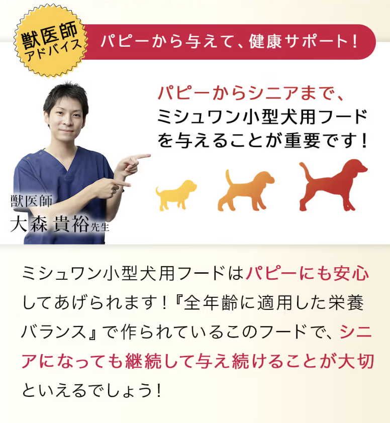 健康サポート