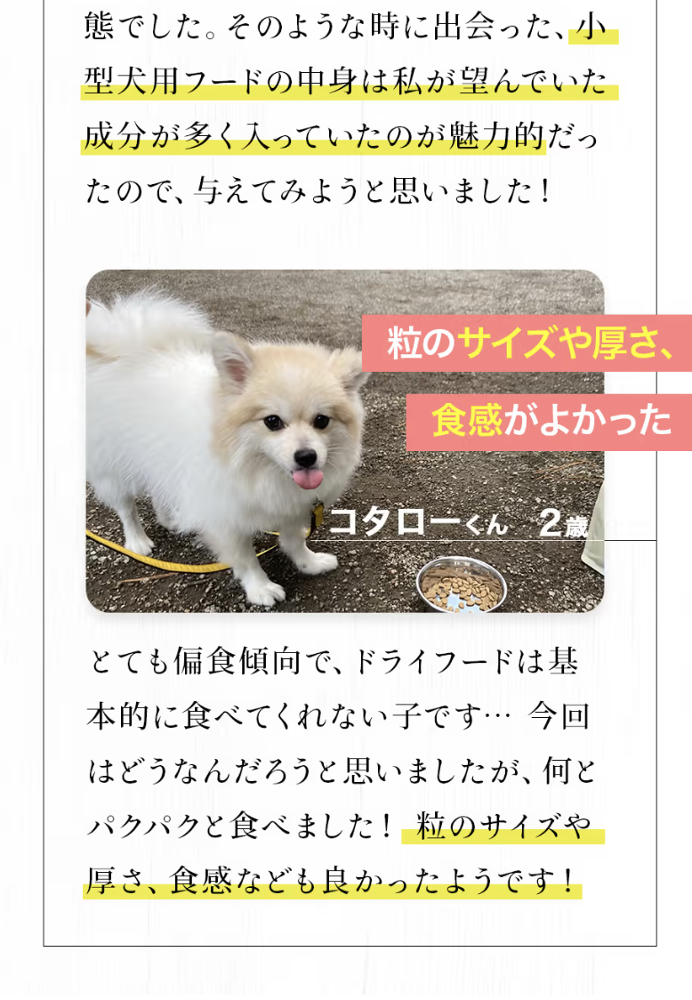 モニター2