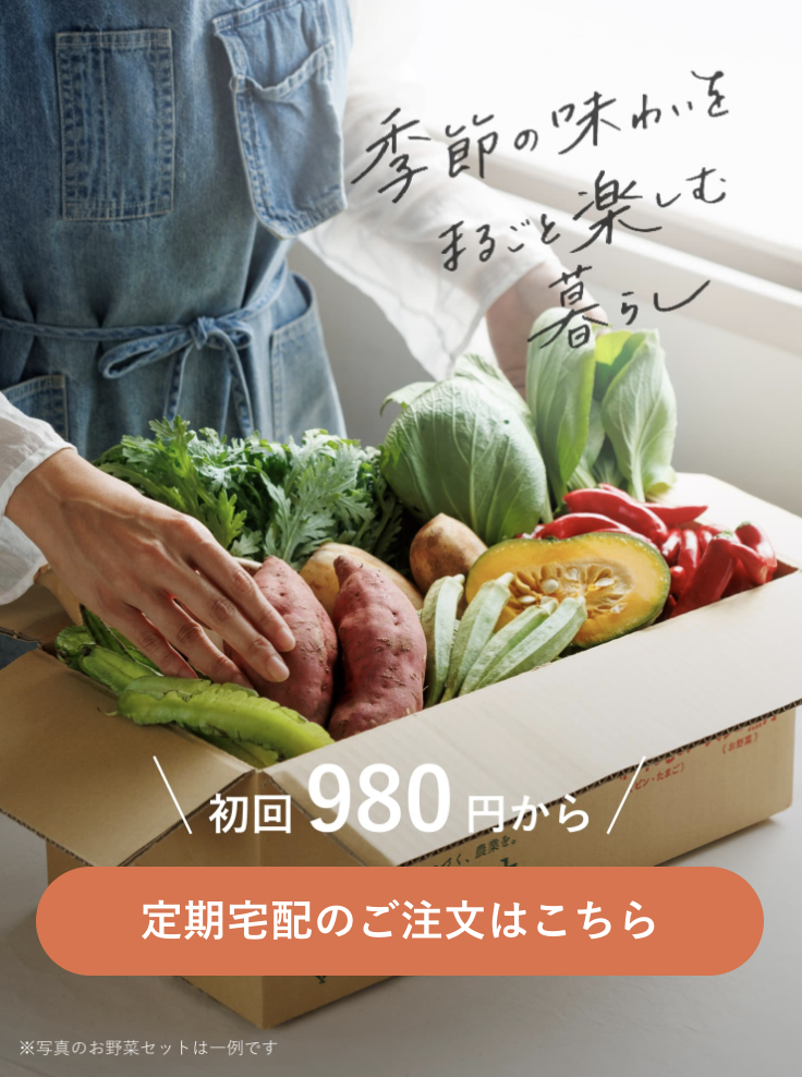 初回980円