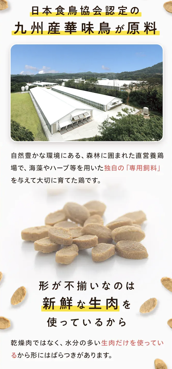 九州産の鳥
