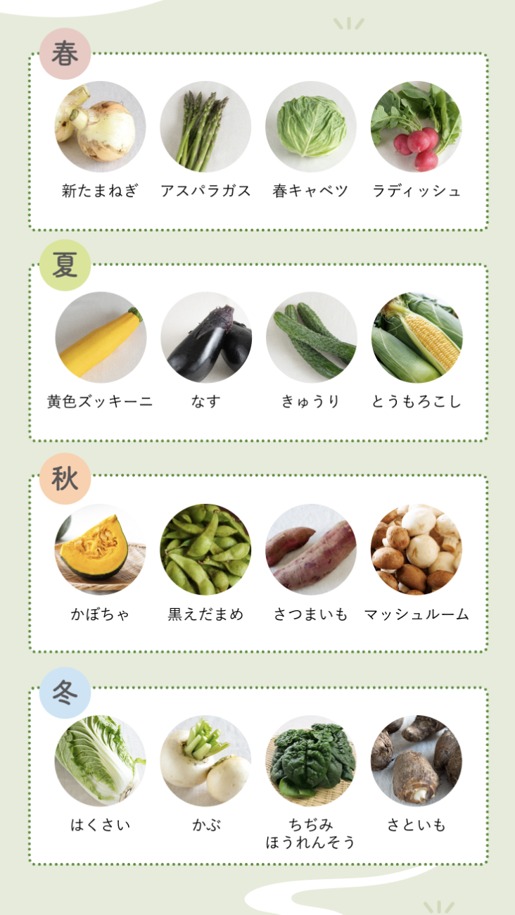 季節のお野菜500