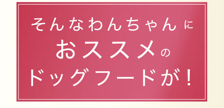 おすすめドックフード1