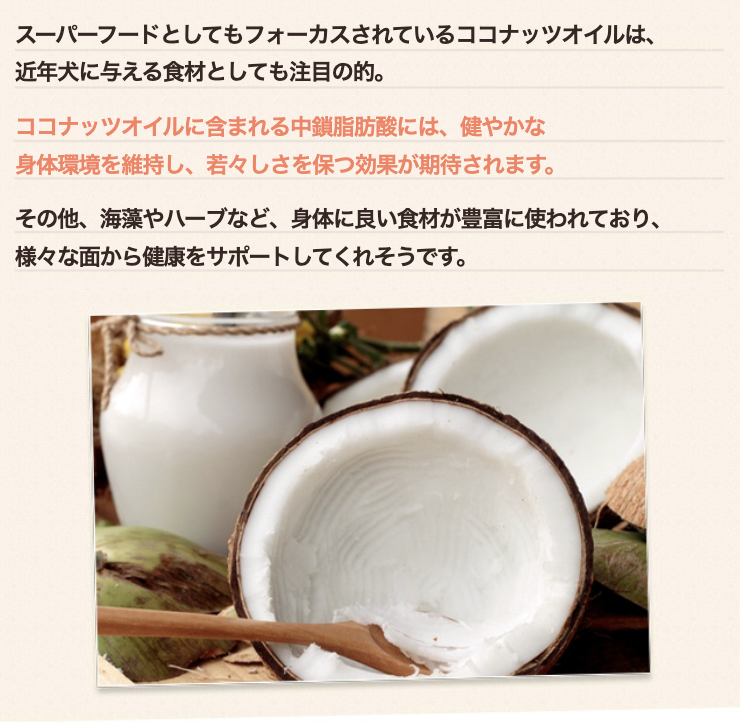 ココナッツ