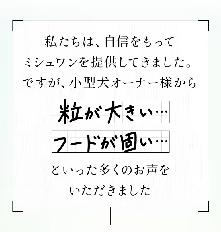 フードサイズ