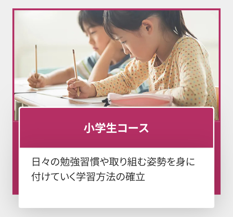 小学生