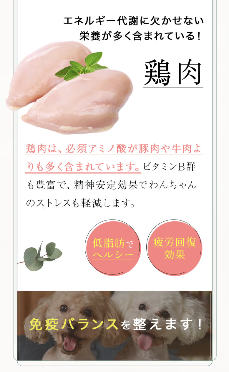 素材2