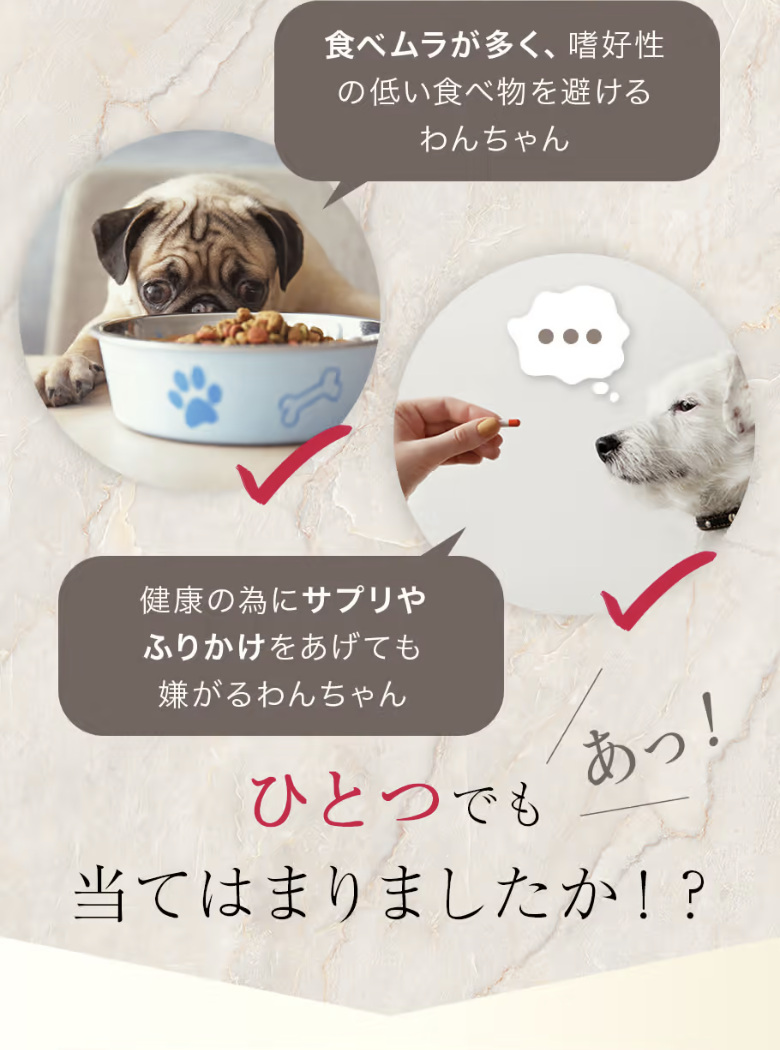 愛犬の悩み2