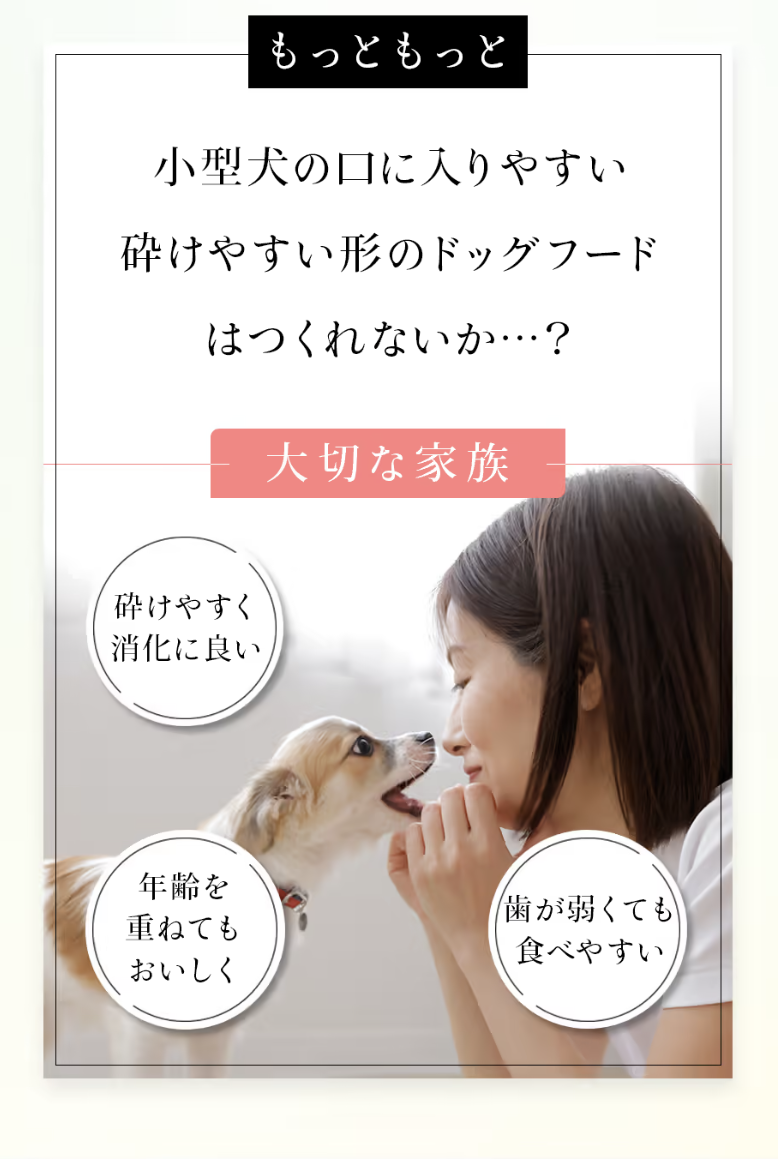 フードサイズ２