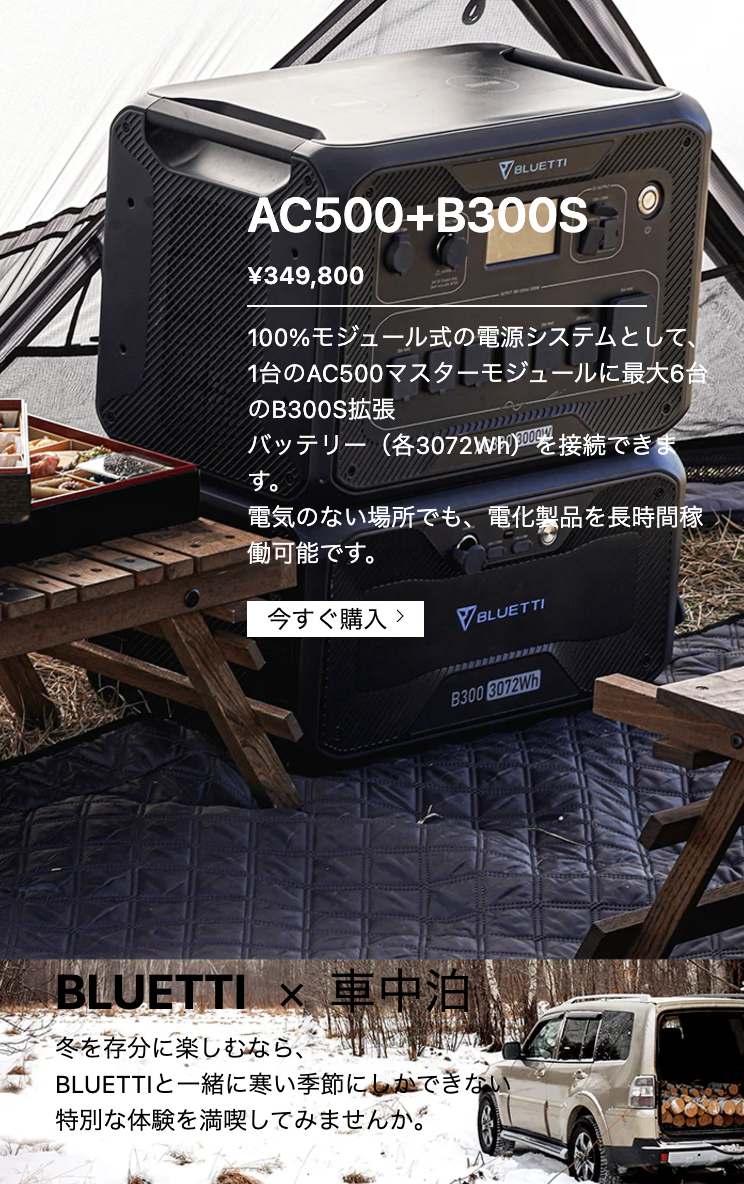 冬