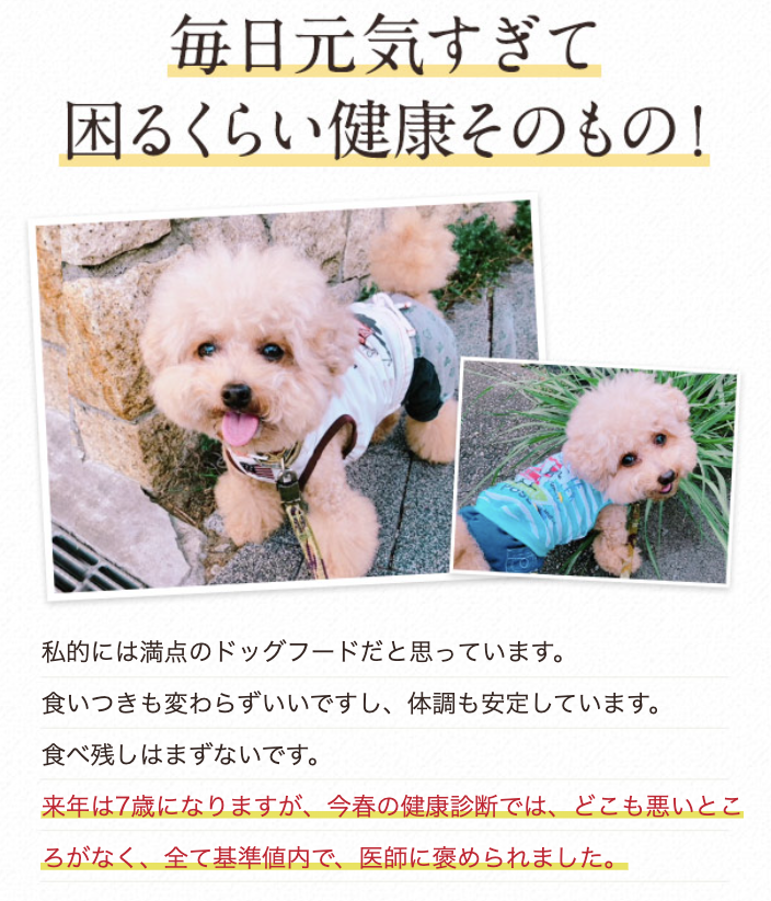 毎日元気