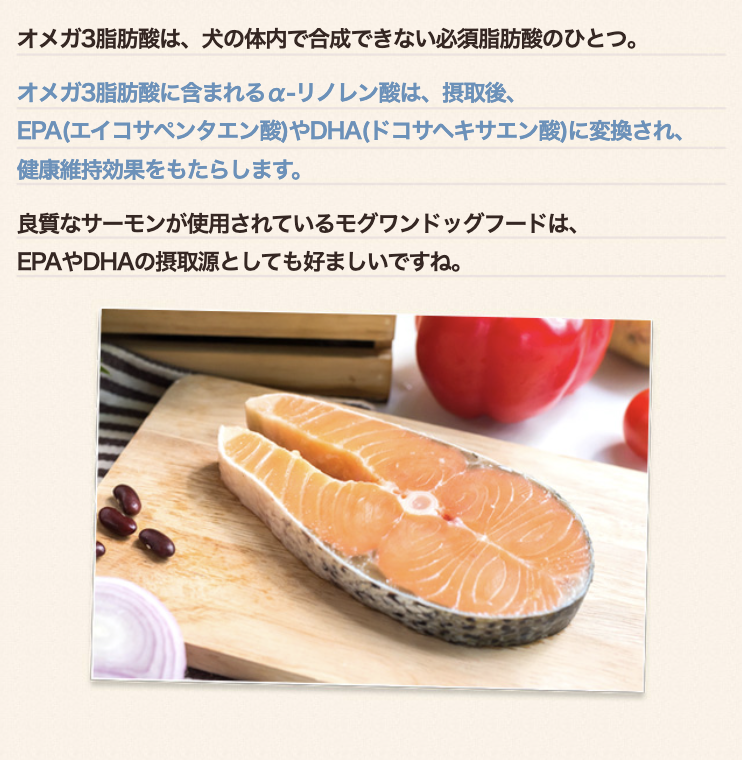 脂肪酸